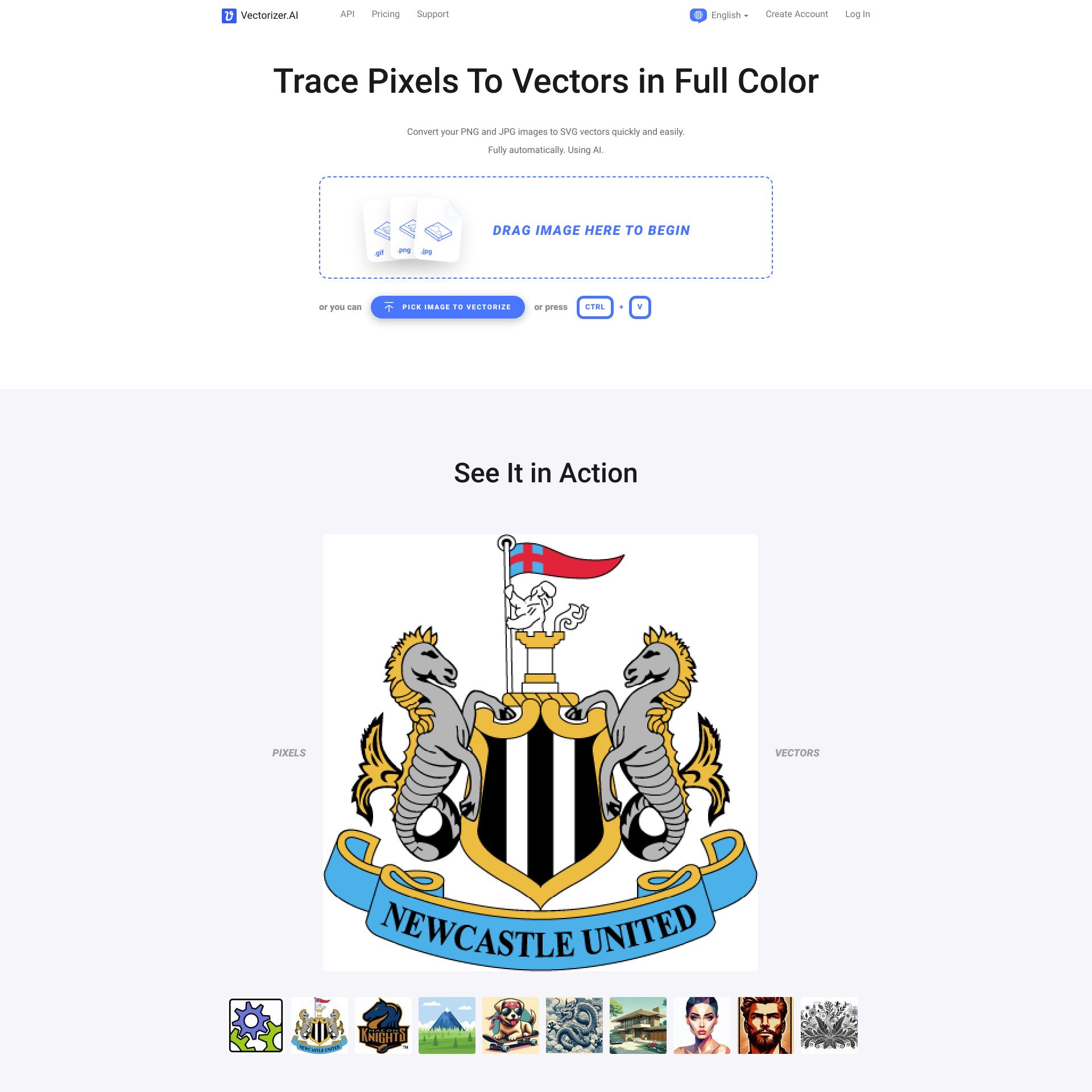 Vectorizer